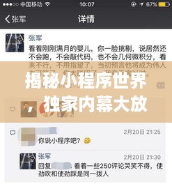 揭秘小程序世界，独家内幕大放送！
