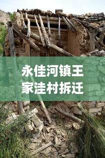 飞奇钩货
