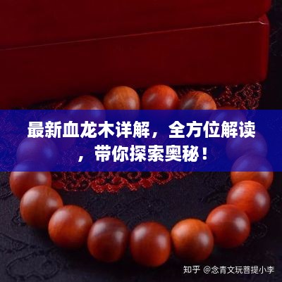 最新血龙木详解，全方位解读，带你探索奥秘！