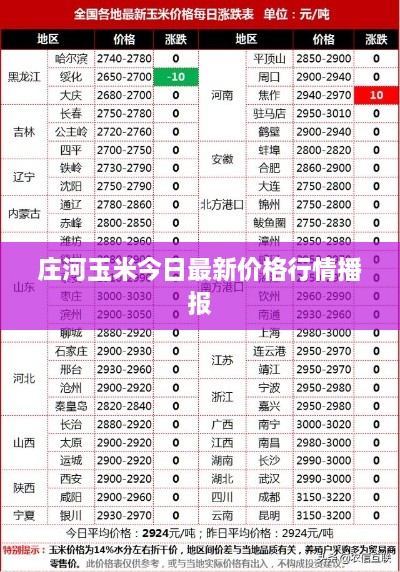 庄河玉米今日最新价格行情播报