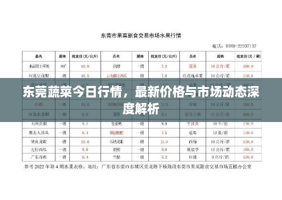 东莞蔬菜今日行情，最新价格与市场动态深度解析