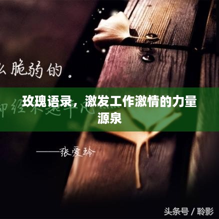 玫瑰语录，激发工作激情的力量源泉
