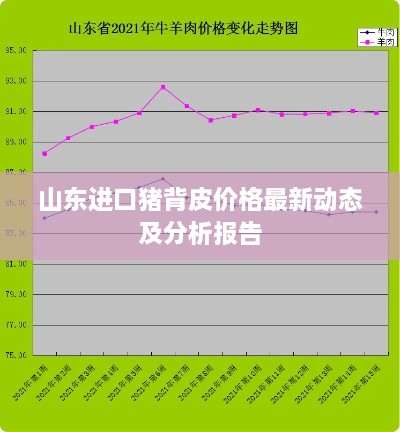 山东进口猪背皮价格最新动态及分析报告