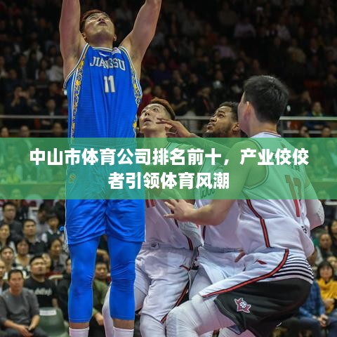中山市体育公司排名前十，产业佼佼者引领体育风潮