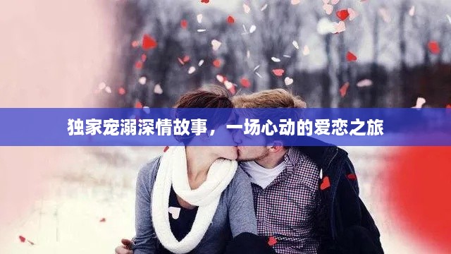 独家宠溺深情故事，一场心动的爱恋之旅