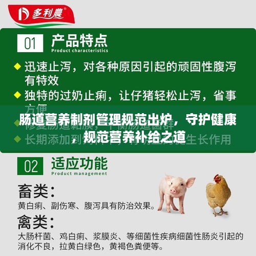 肠道营养制剂管理规范出炉，守护健康，规范营养补给之道