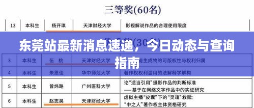 东莞站最新消息速递，今日动态与查询指南
