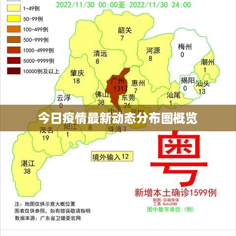 今日疫情最新动态分布图概览