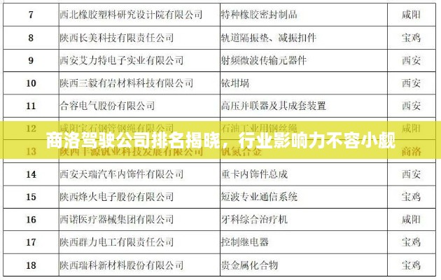 商洛驾驶公司排名揭晓，行业影响力不容小觑