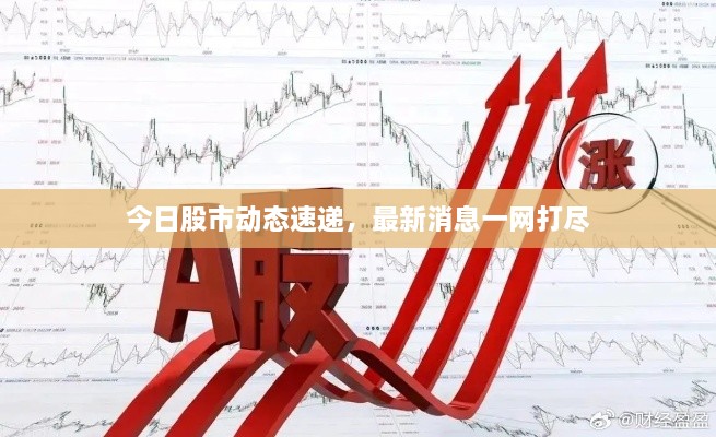 今日股市动态速递，最新消息一网打尽