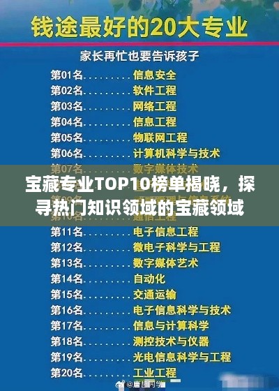 宝藏专业TOP10榜单揭晓，探寻热门知识领域的宝藏领域