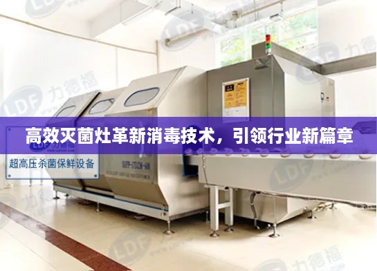高效灭菌灶革新消毒技术，引领行业新篇章