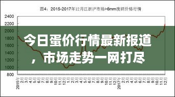 今日蛋价行情最新报道，市场走势一网打尽