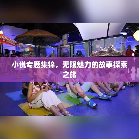 小说专题集锦，无限魅力的故事探索之旅