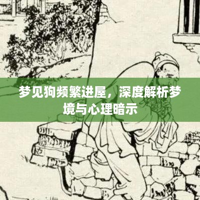 梦见狗频繁进屋，深度解析梦境与心理暗示
