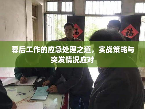 幕后工作的应急处理之道，实战策略与突发情况应对