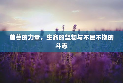 马马虎虎