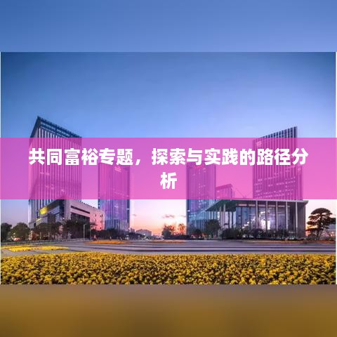 共同富裕专题，探索与实践的路径分析