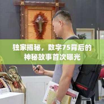 独家揭秘，数字75背后的神秘故事首次曝光