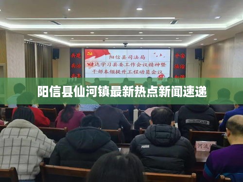 阳信县仙河镇最新热点新闻速递