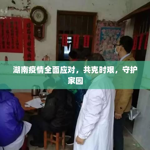 湖南疫情全面应对，共克时艰，守护家园