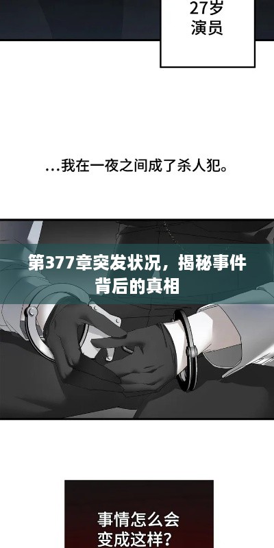第377章突发状况，揭秘事件背后的真相