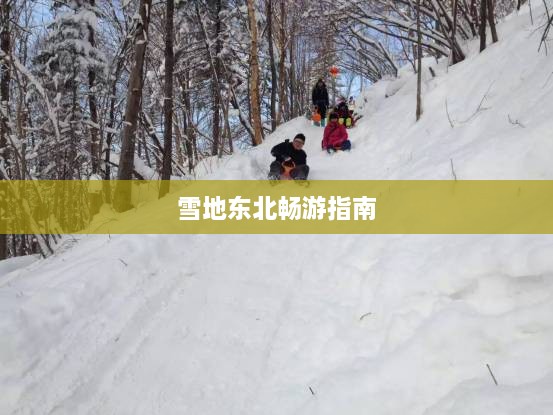 雪地东北畅游指南