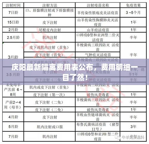 庆阳最新隔离费用表公布，费用明细一目了然！