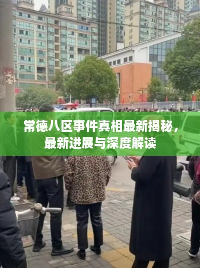 常德八区事件真相最新揭秘，最新进展与深度解读