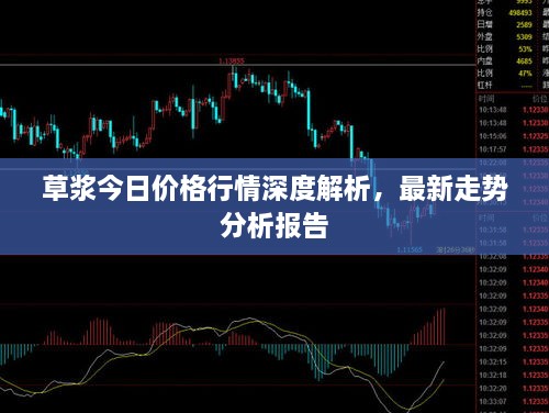草浆今日价格行情深度解析，最新走势分析报告