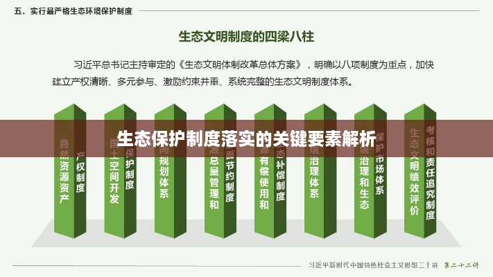 生态保护制度落实的关键要素解析