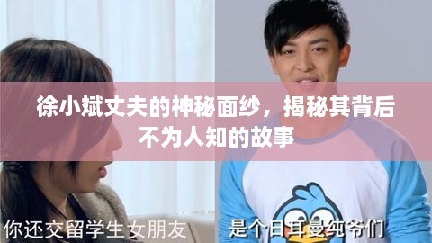 徐小斌丈夫的神秘面纱，揭秘其背后不为人知的故事