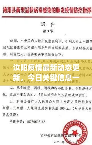 汝阳疫情最新动态更新，今日关键信息一网打尽