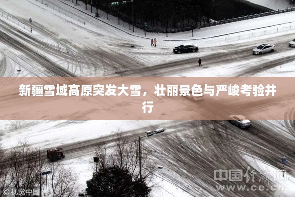 关于我们 第12页
