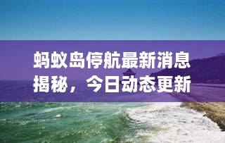 蚂蚁岛停航最新消息揭秘，今日动态更新！