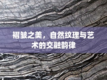 褶皱之美，自然纹理与艺术的交融韵律