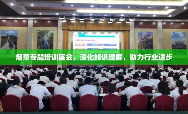 烟草专题培训盛会，深化知识理解，助力行业进步