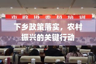 下乡政策落实，农村振兴的关键行动