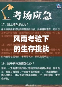 风雨考验下的生存挑战与应对策略，突发事件应对指南