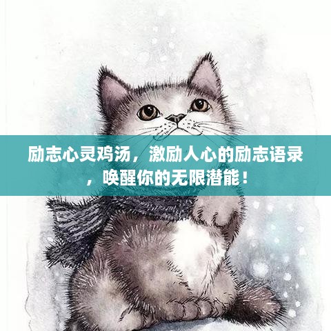 观往知来