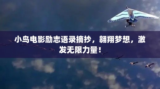 小鸟电影励志语录摘抄，翱翔梦想，激发无限力量！