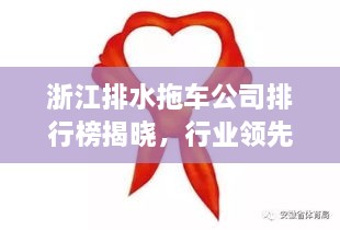 浙江排水拖车公司排行榜揭晓，行业领先的几家企业盘点！