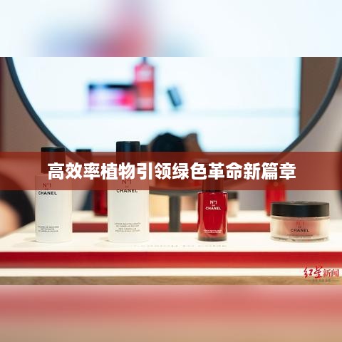 高效率植物引领绿色革命新篇章