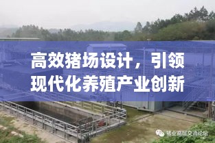 高效猪场设计，引领现代化养殖产业创新标杆之路