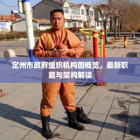 定州市政府组织机构图概览，最新职能与架构解读