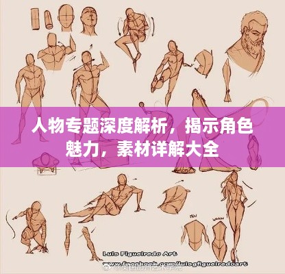 人物专题深度解析，揭示角色魅力，素材详解大全