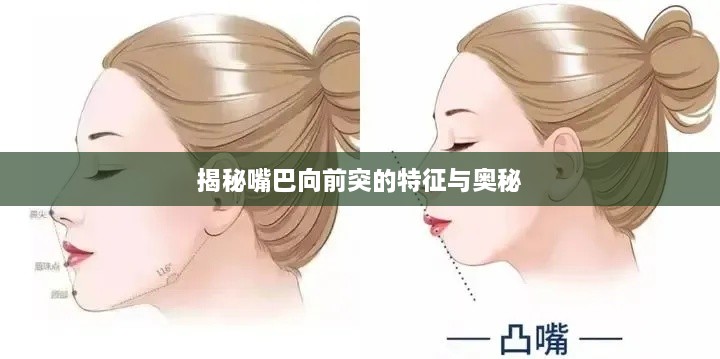揭秘嘴巴向前突的特征与奥秘