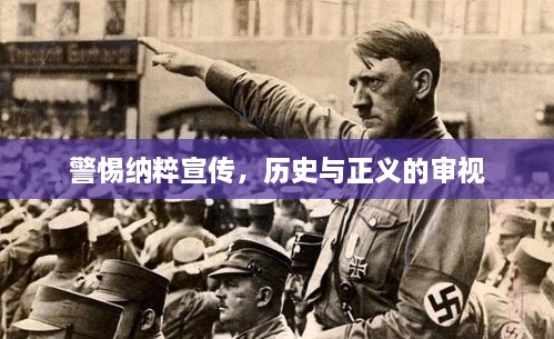 警惕纳粹宣传，历史与正义的审视