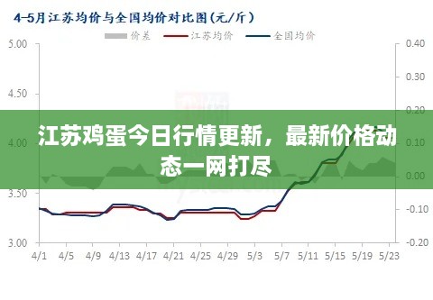江苏鸡蛋今日行情更新，最新价格动态一网打尽