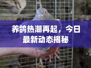 一切就绪